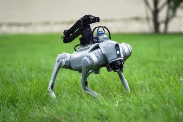 Go2 EDU (w/MID-360 LIDAR) AI Quadruped Robot Dog - Image 3